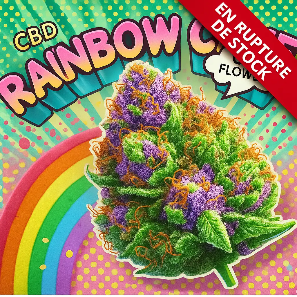 Rainbow Cake CBD